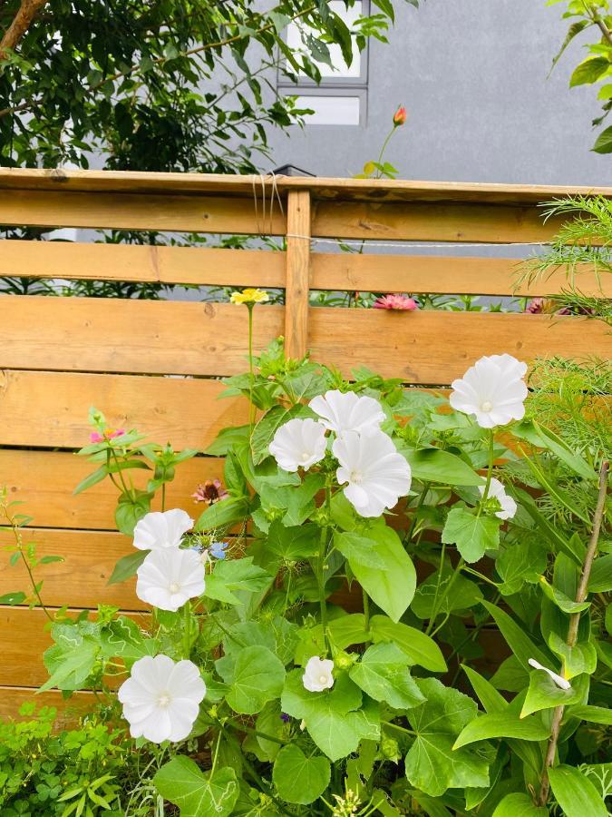 טורונטו Lovely II Space Share A Room East York Canada מראה חיצוני תמונה